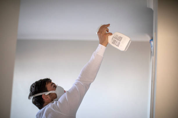 Best Local Mold Removal Service  in Sunset Beach, NC
