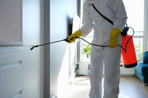 Best Certified Mold Removal  in Sunset Beach, NC