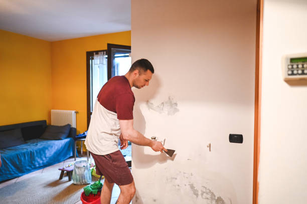 Best Residential Mold Removal  in Sunset Beach, NC