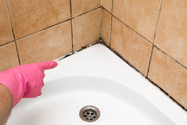 Best Professional Mold Removal  in Sunset Beach, NC
